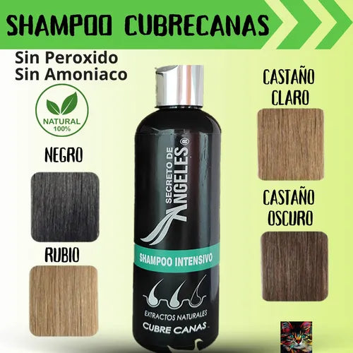 SHAMPOO CUBRECANAS + REGALOS EXCLUSIVOS