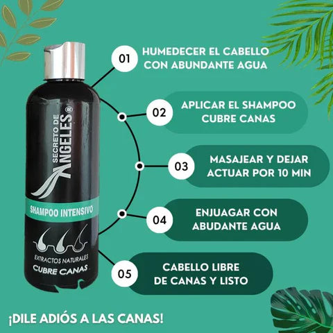 SHAMPOO CUBRECANAS + REGALOS EXCLUSIVOS