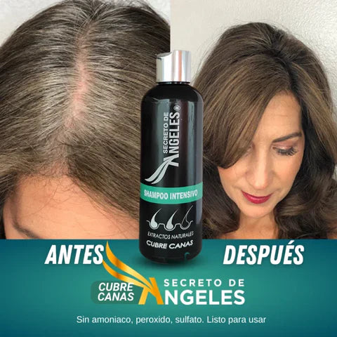 SHAMPOO CUBRECANAS + REGALOS EXCLUSIVOS