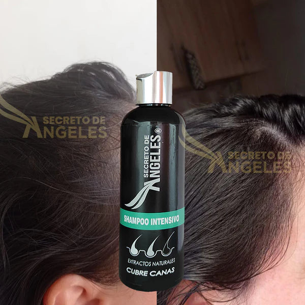 SHAMPOO CUBRECANAS + REGALOS EXCLUSIVOS