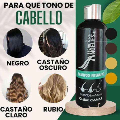 SHAMPOO CUBRECANAS + REGALOS EXCLUSIVOS