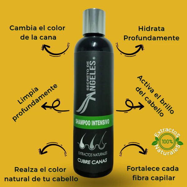 SHAMPOO CUBRECANAS + REGALOS EXCLUSIVOS