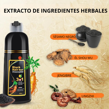 Black Color – Shampoo Tonalizante 3 en 1 con Extractos Naturales